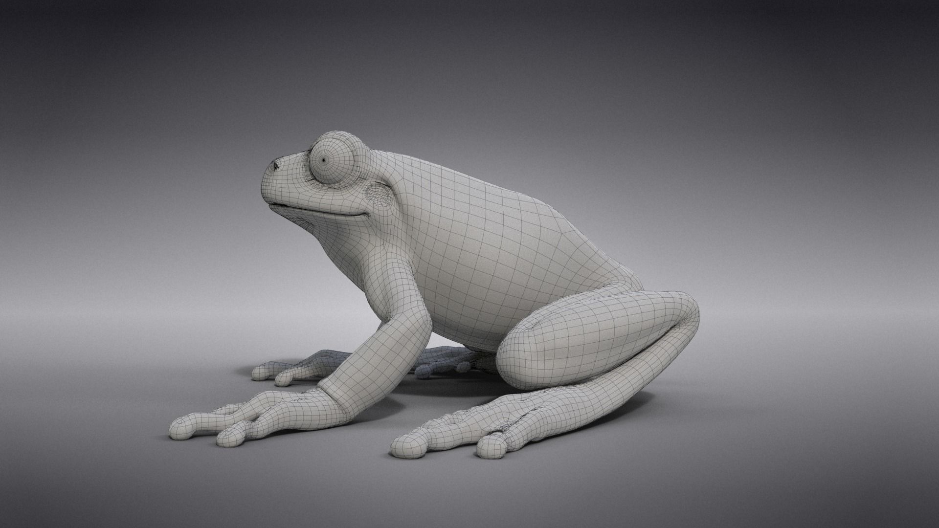 Tree Frog Animated VFX Grace 3D model_18
