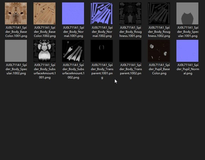 Spider Pholcus  Rigged VFX Grace 3D model_13