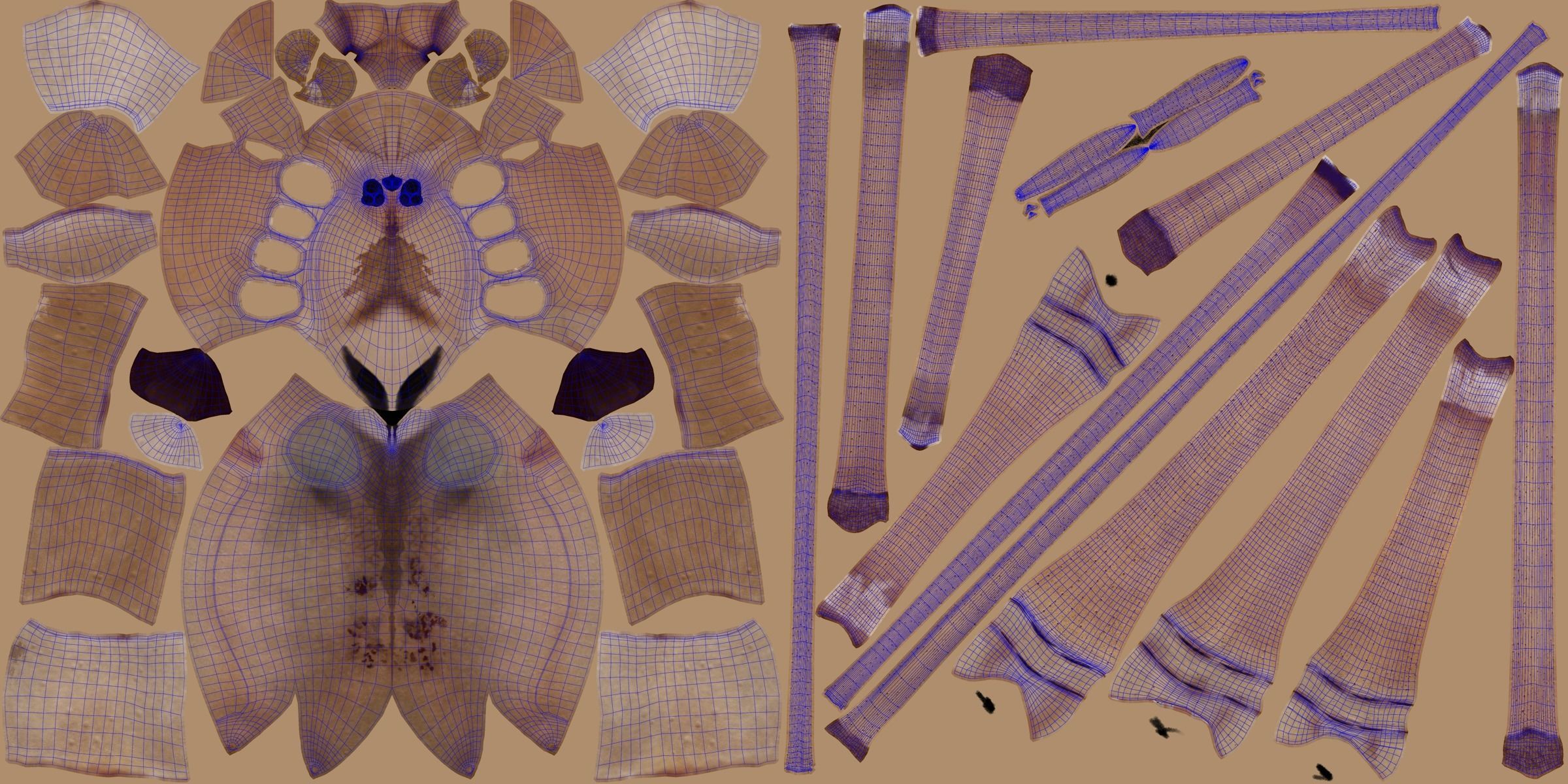 Spider Pholcus  Rigged VFX Grace 3D model_12