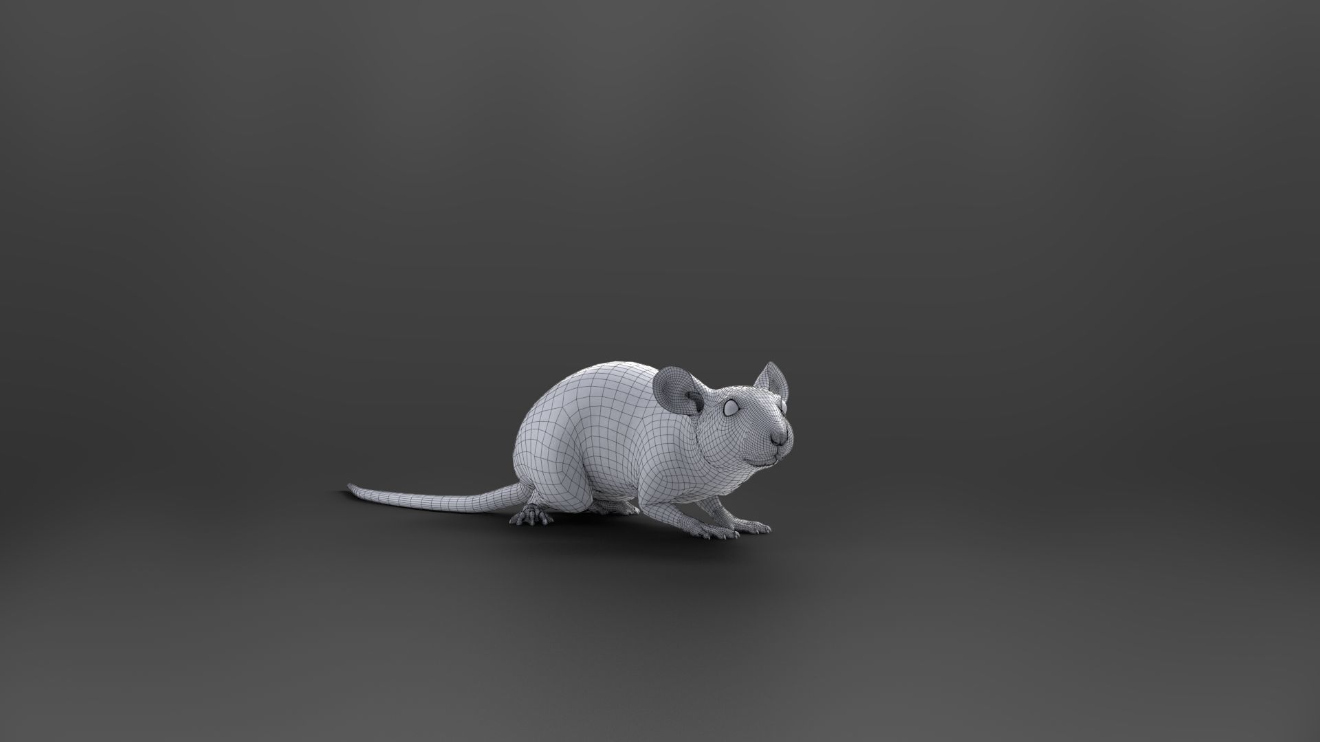 Rat Mouse Rigged  VFX Grace 3D model_16