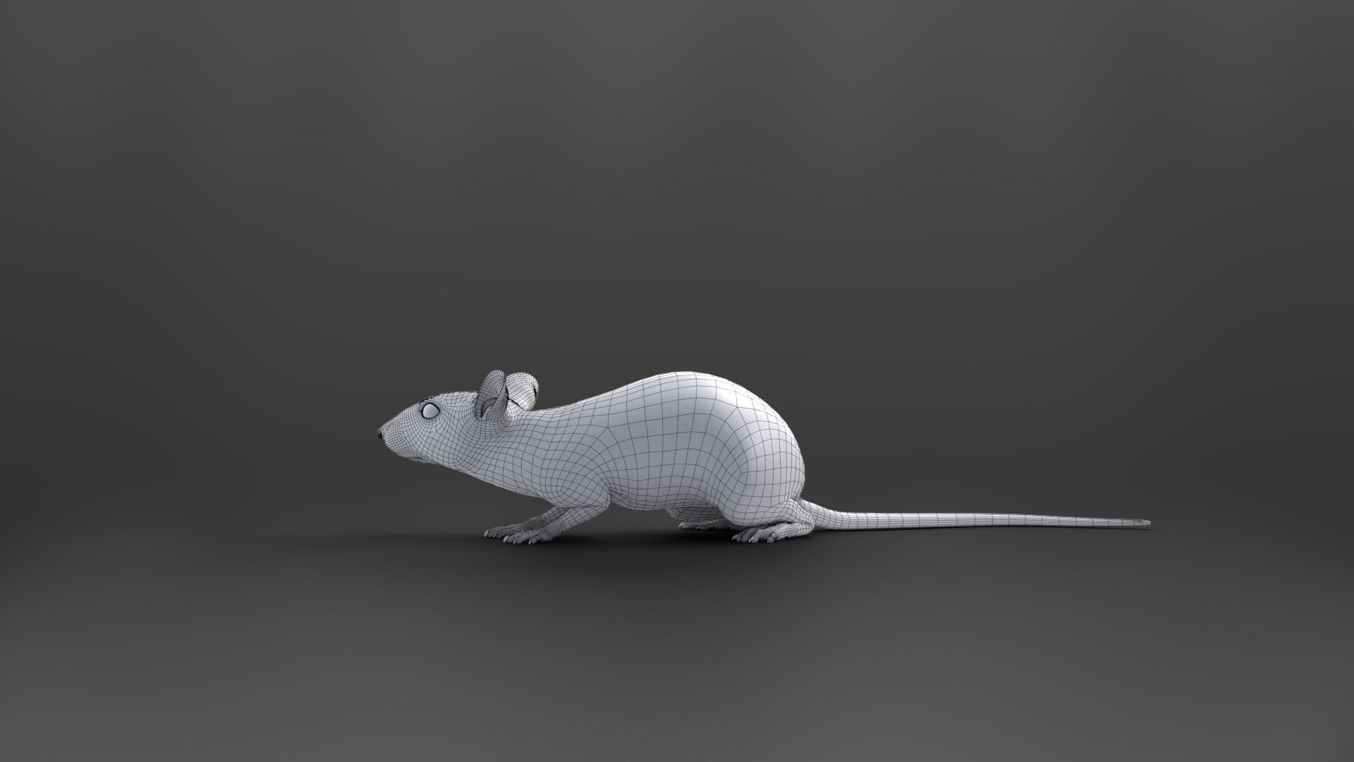 Rat Mouse Rigged  VFX Grace 3D model_17