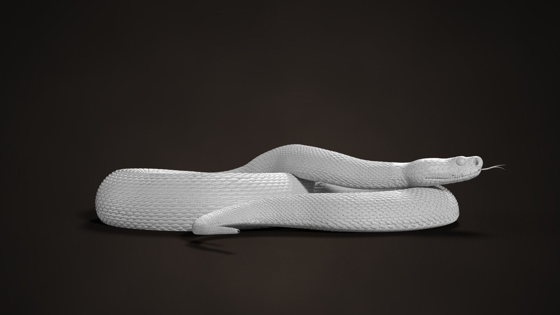 Russell Viper Rigged VFX Grace 3D model_8
