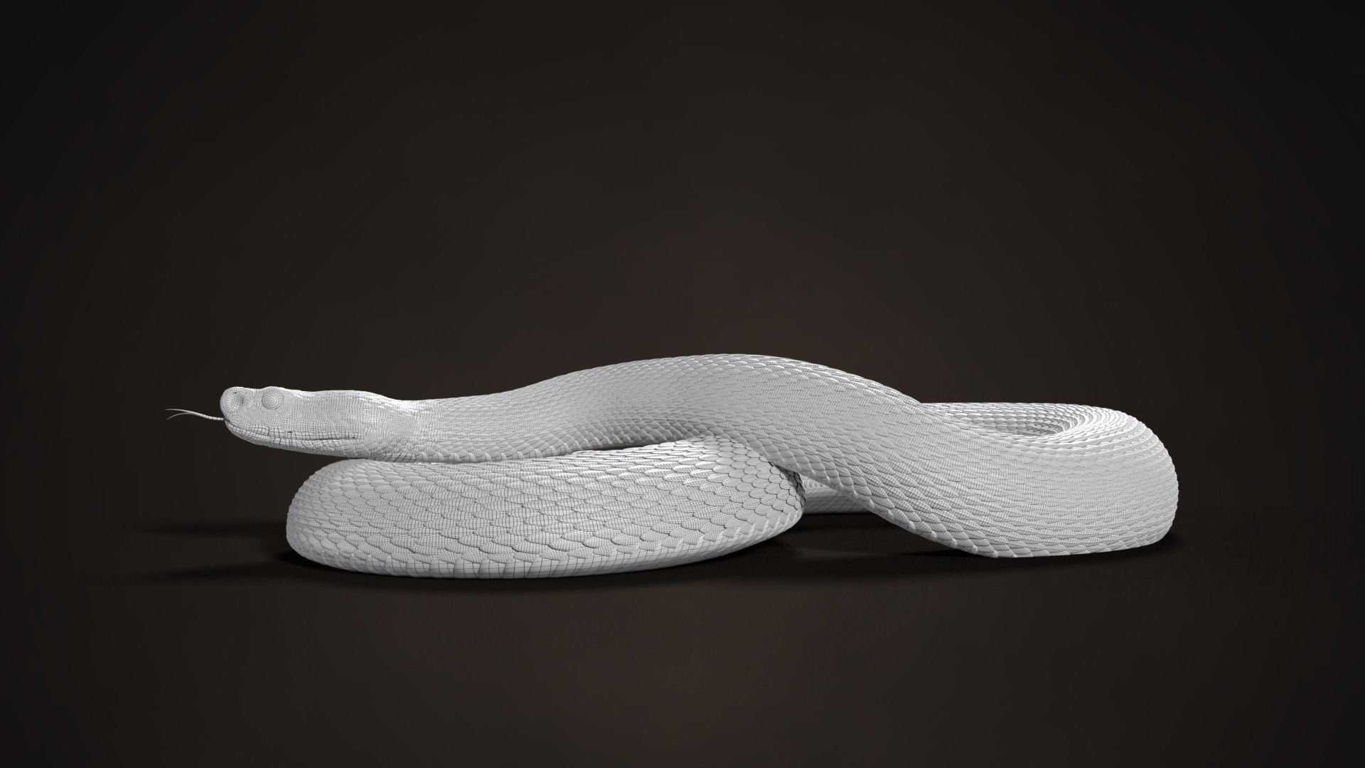 Russell Viper Rigged VFX Grace 3D model_15