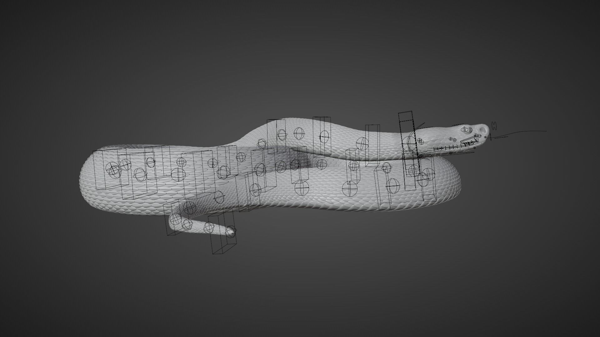 Russell Viper Rigged VFX Grace 3D model_9