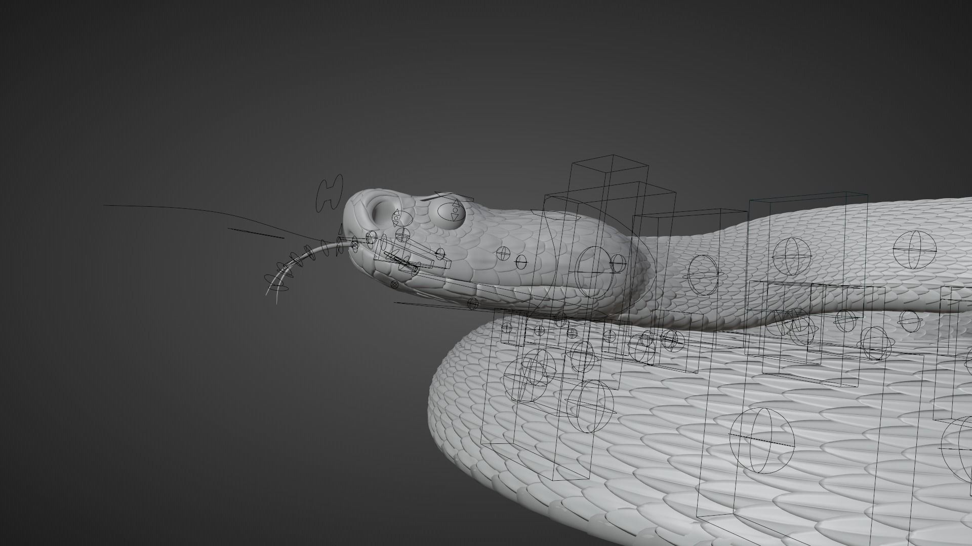 Russell Viper Rigged VFX Grace 3D model_10