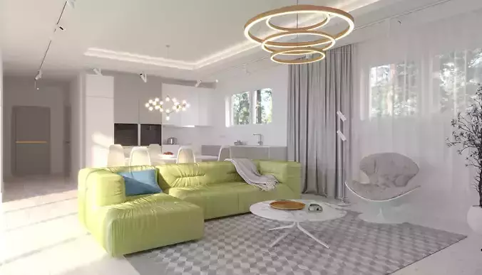 contemporary studio living room interior