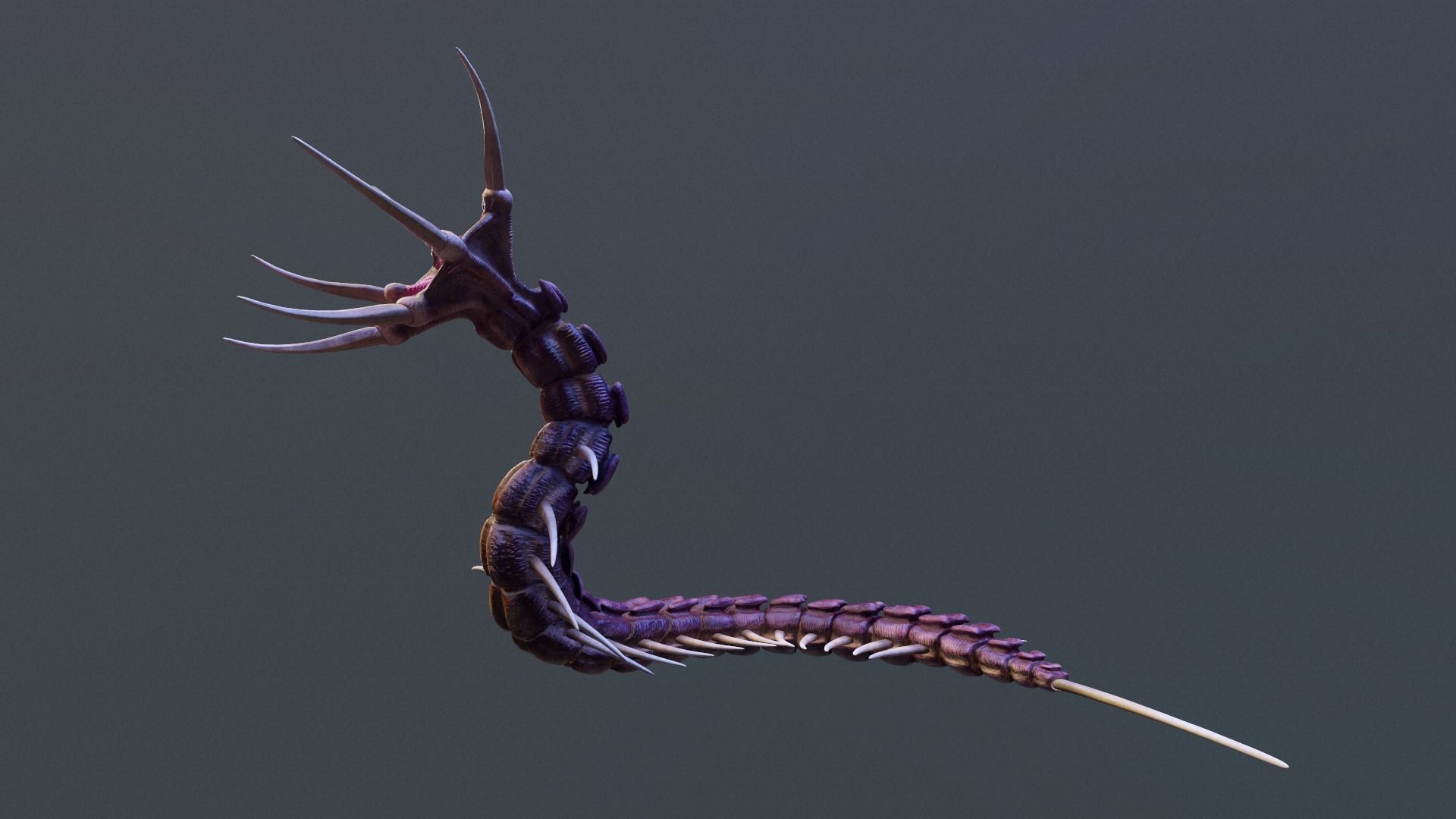 Giant Worm Low-poly 3D model_10