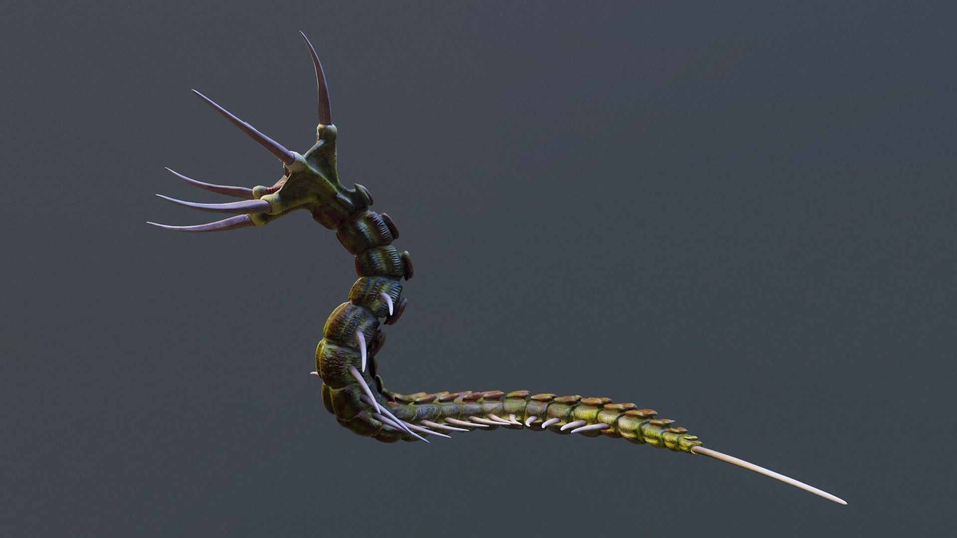 Giant Worm Low-poly 3D model_11