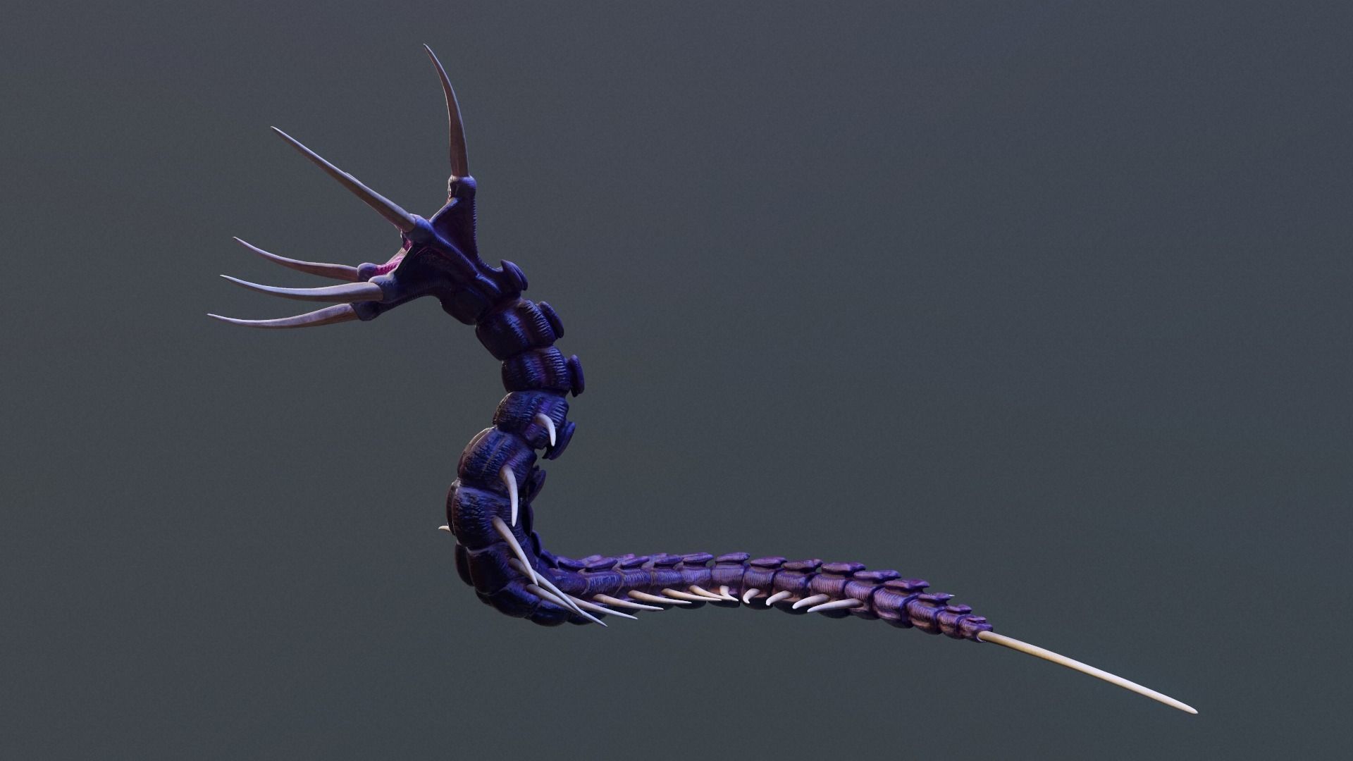 Giant Worm Low-poly 3D model_14