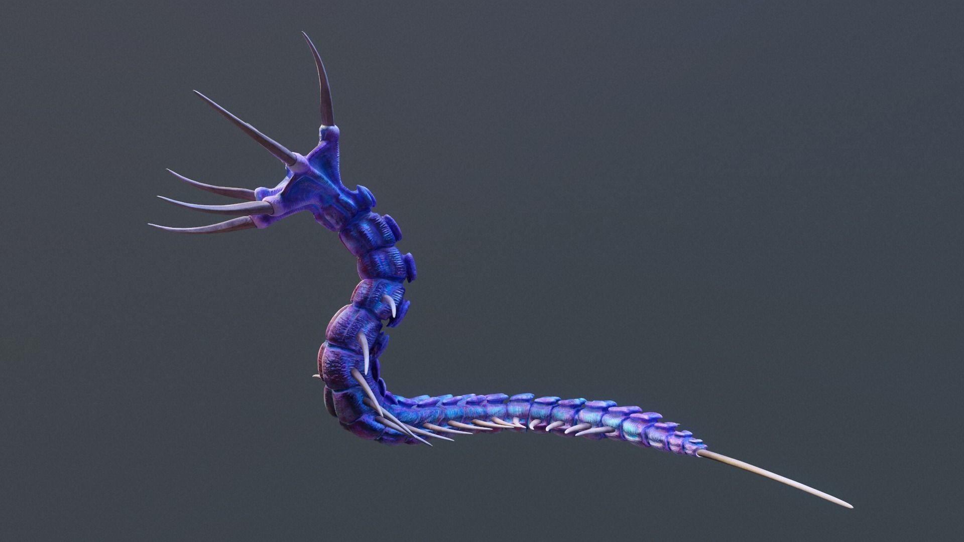 Giant Worm Low-poly 3D model_13