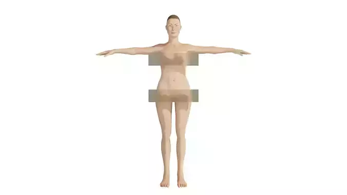 4 Fit 3D models with rigged body