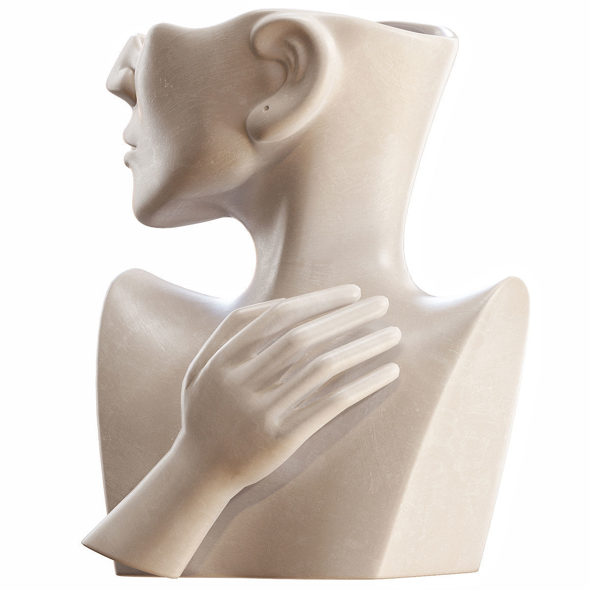 Human Face Art Vase 2 3D model_3