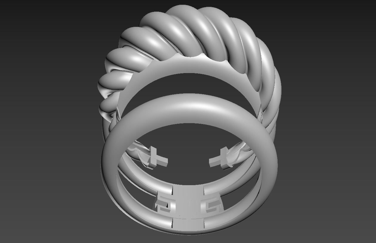 Ring R 45 3D print model_6