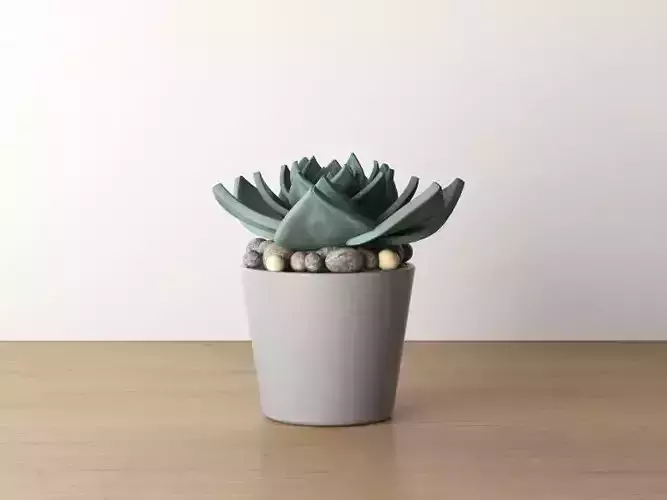 Cactus Pot 03