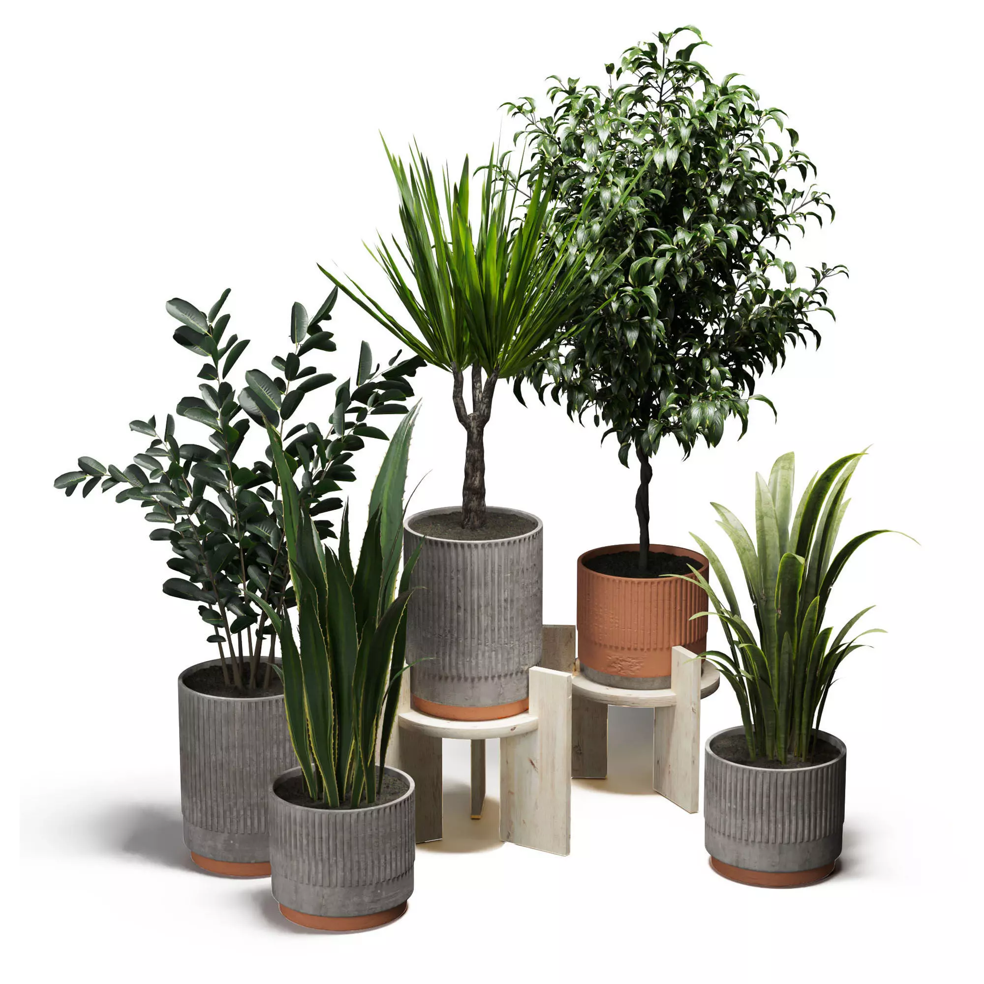 Indoor plants set-001 Low-poly 3D model_0