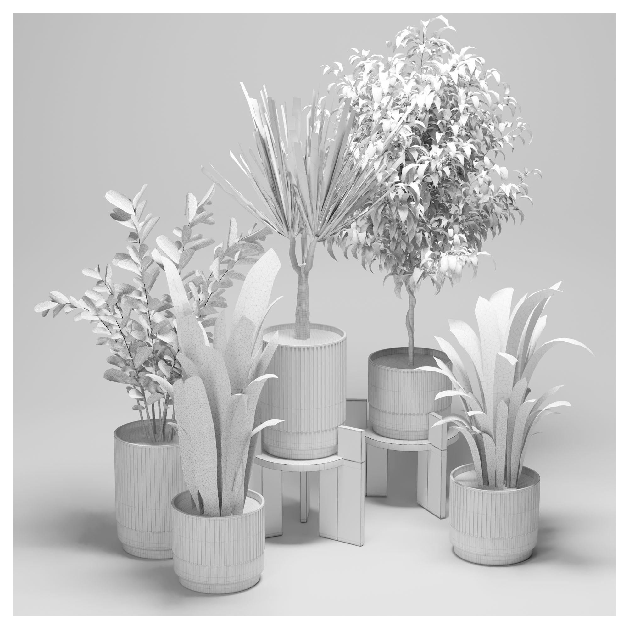 Indoor plants set-001 Low-poly 3D model_6