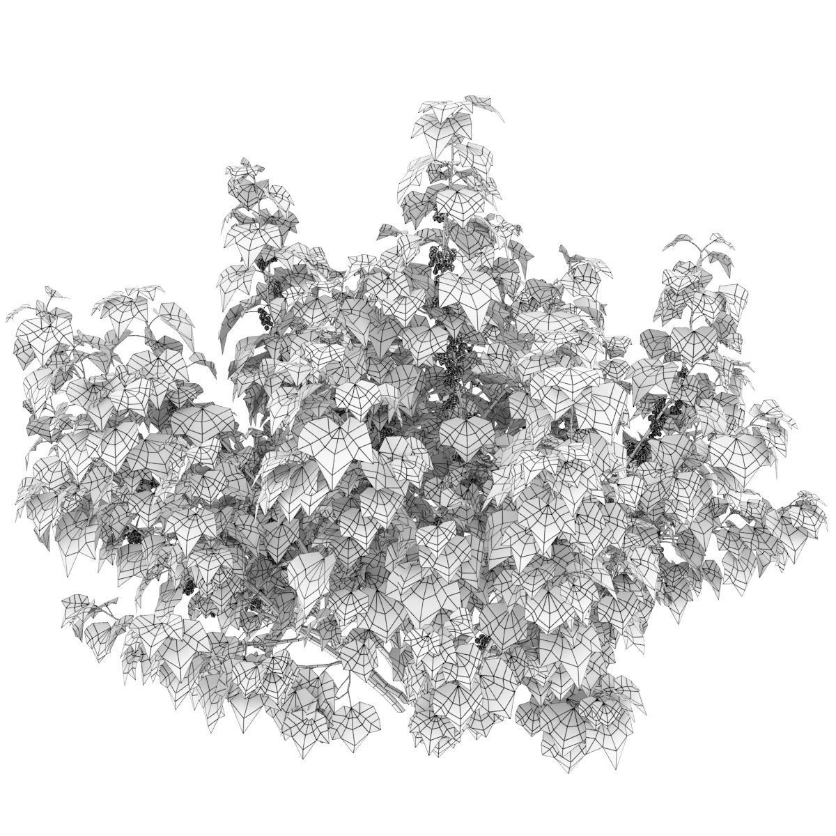 Currant bush 01 3D model_4