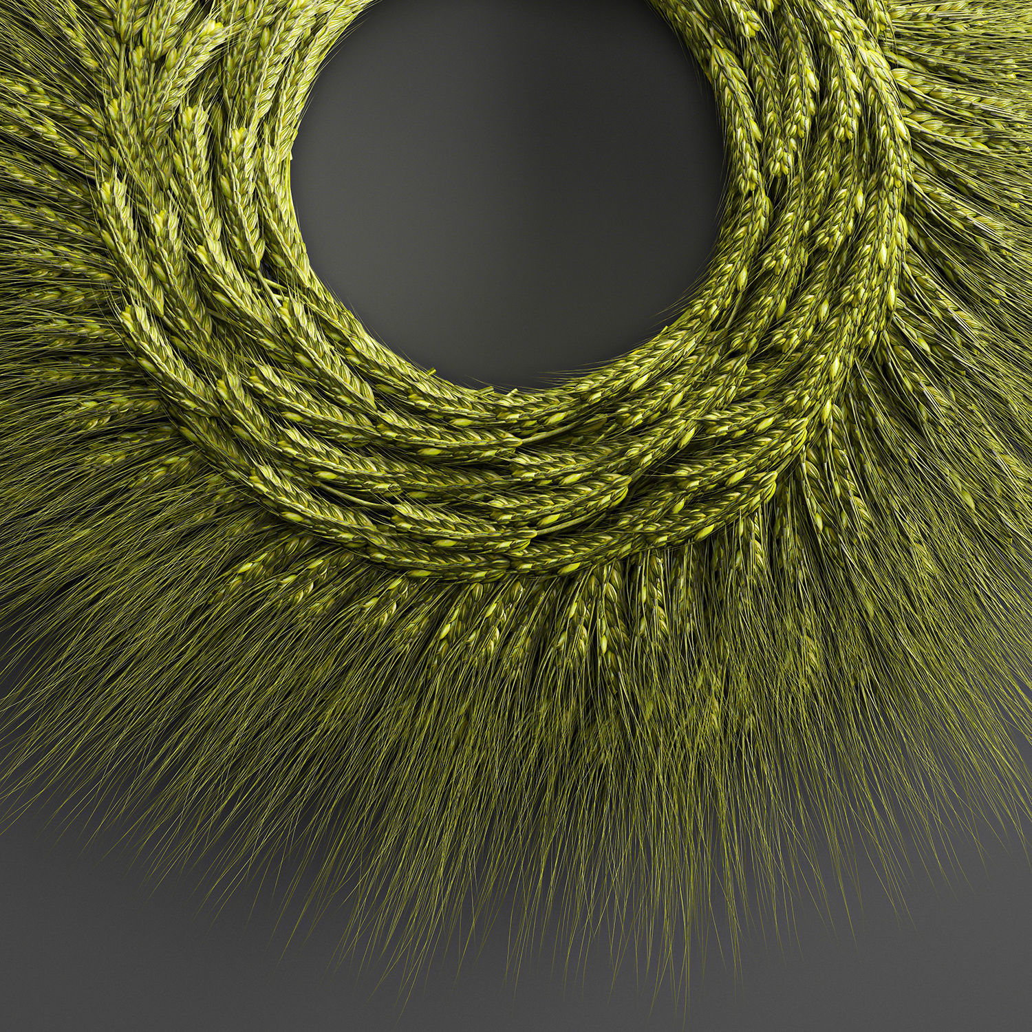 Wheat Ears Wall Wreath 218 3D model_3