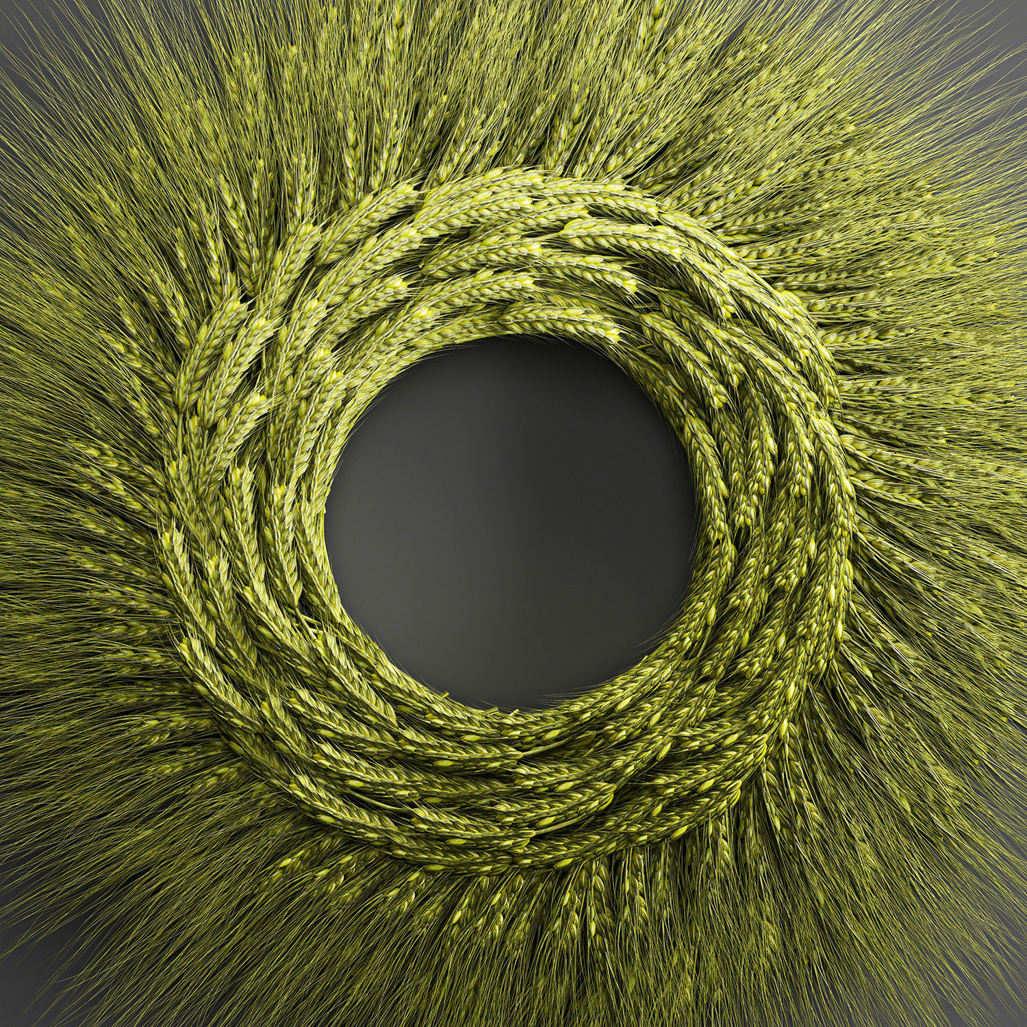 Wheat Ears Wall Wreath 218 3D model_1