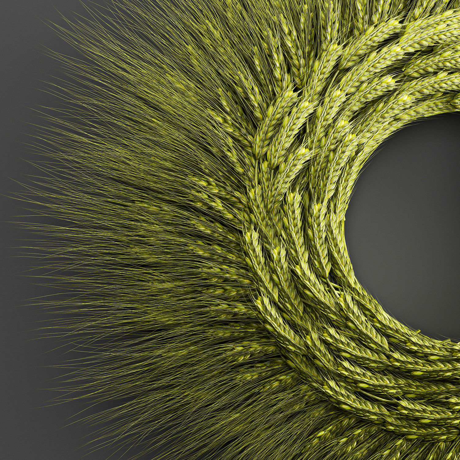 Wheat Ears Wall Wreath 218 3D model_4