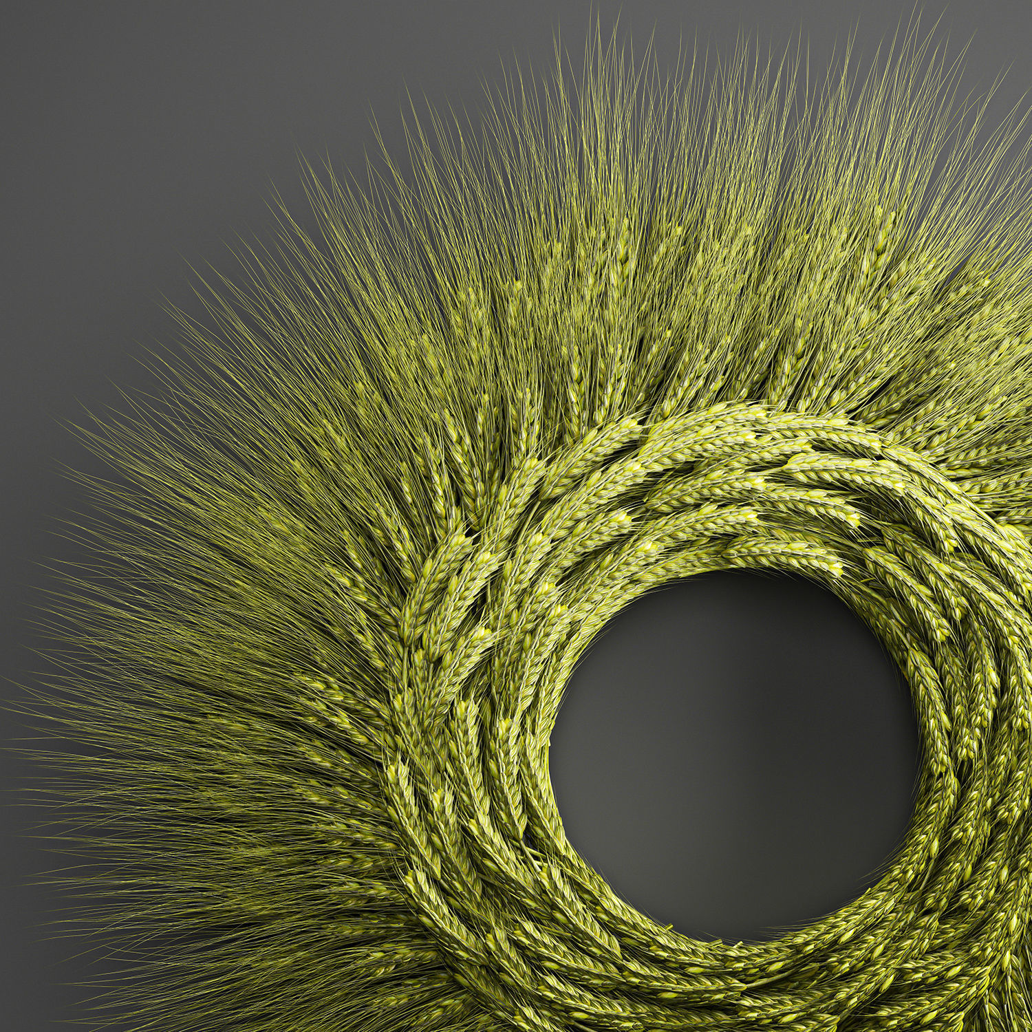 Wheat Ears Wall Wreath 218 3D model_2