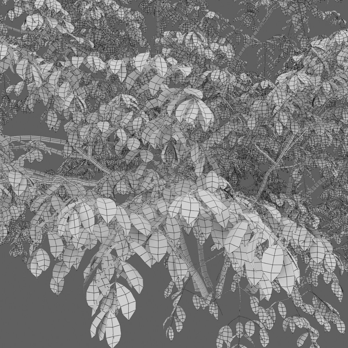 Euonymus forest 01 3D model_7