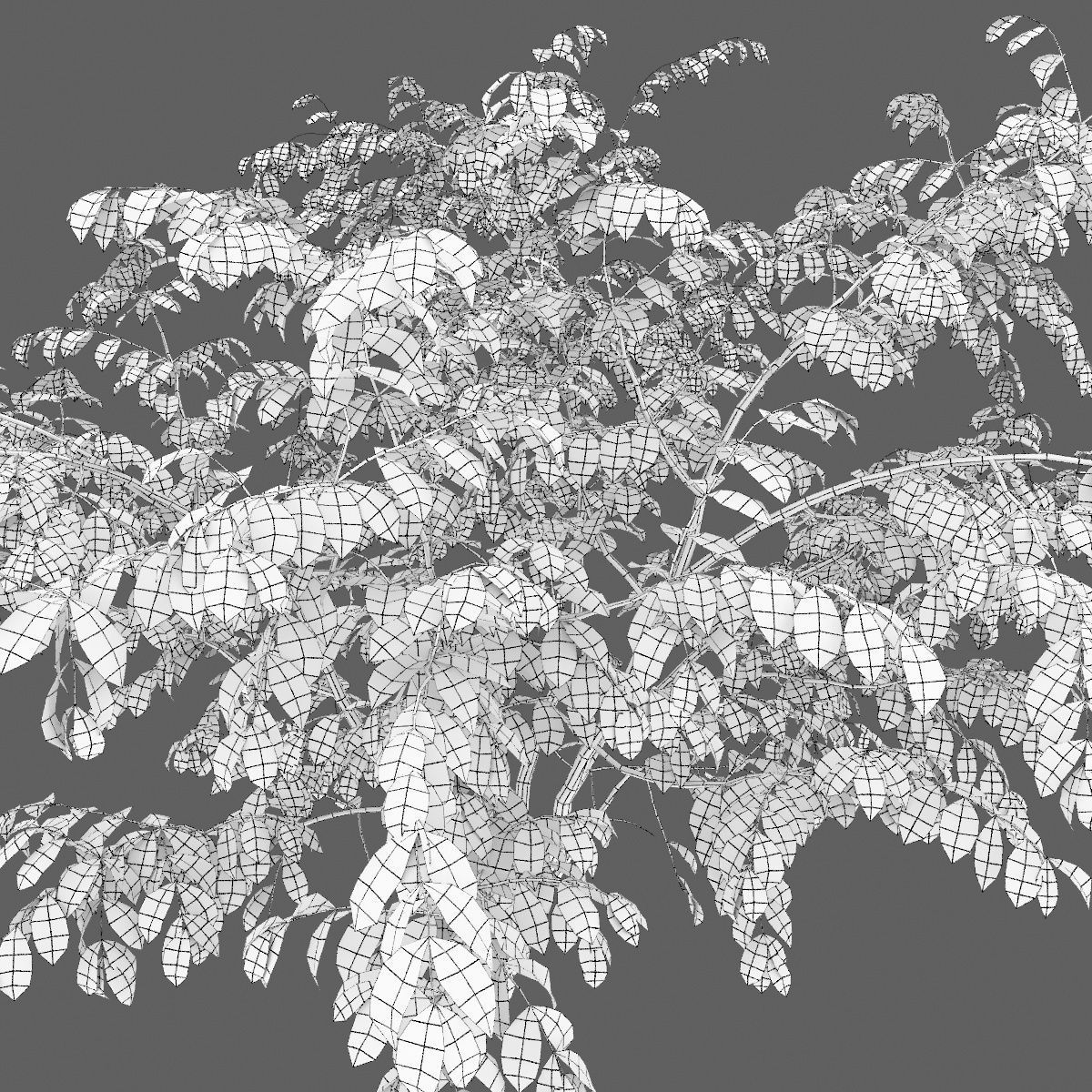 Euonymus forest 02 3D model_6