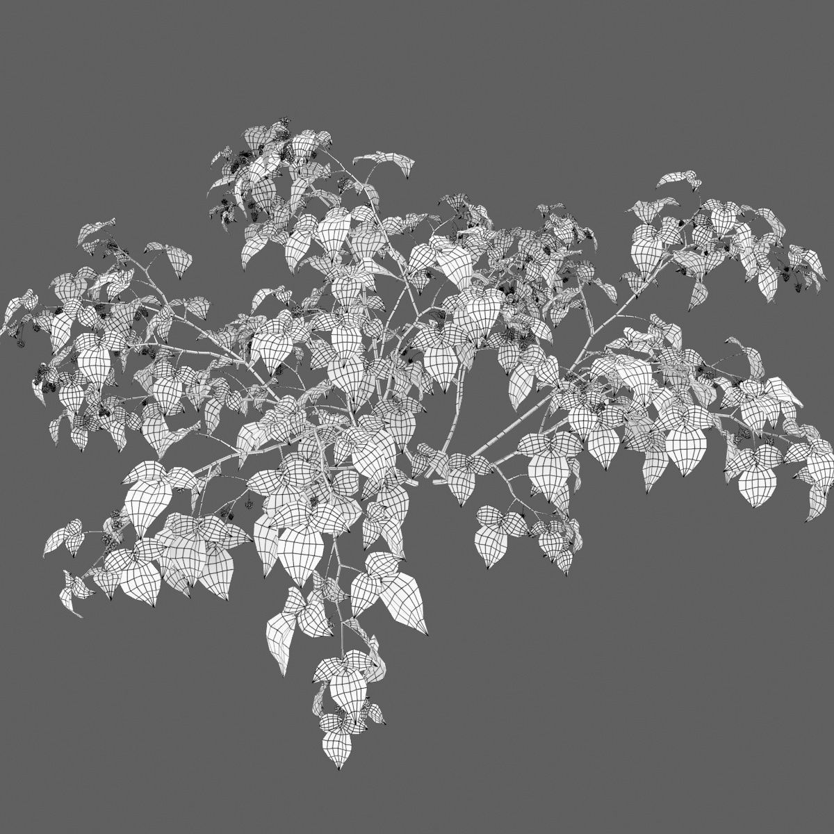 Raspberry bush forest 02 3D model_6