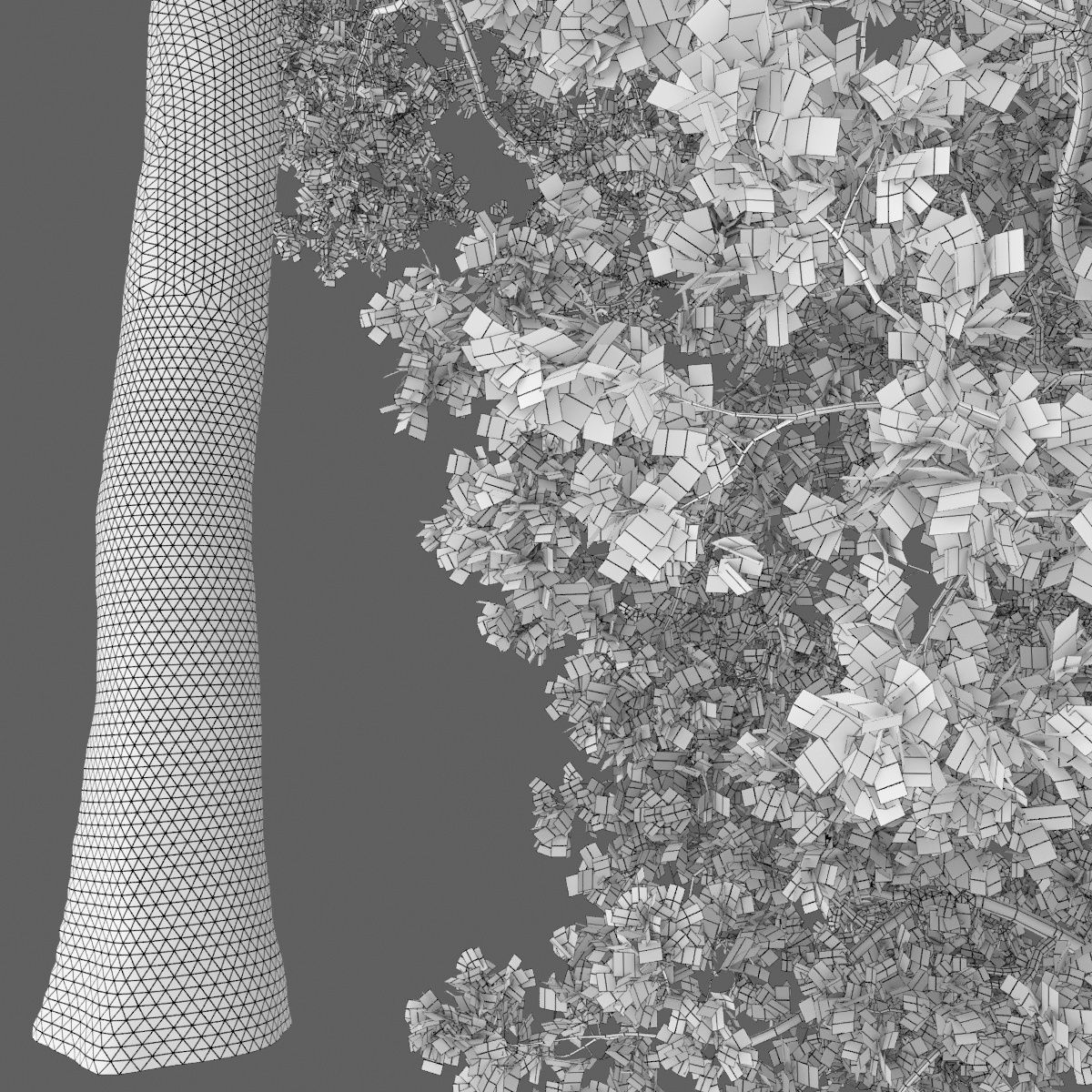 Oak-tree 05  3D model_6