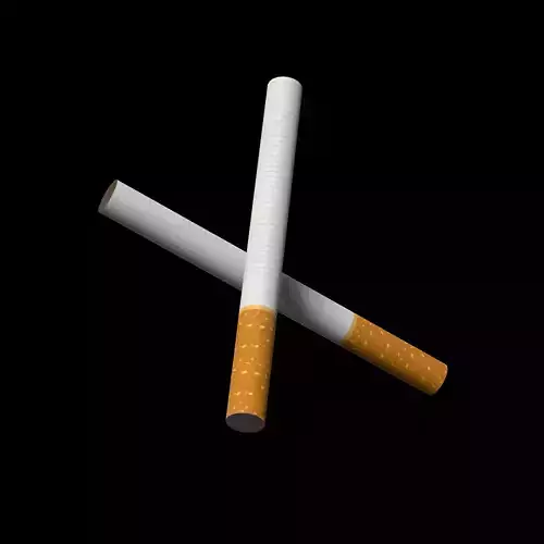 Cigarette realistic model two cigarettes Low-poly 3D model