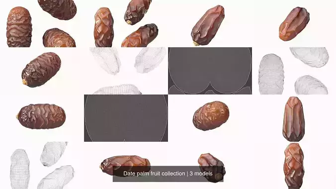 Date palm fruit collection