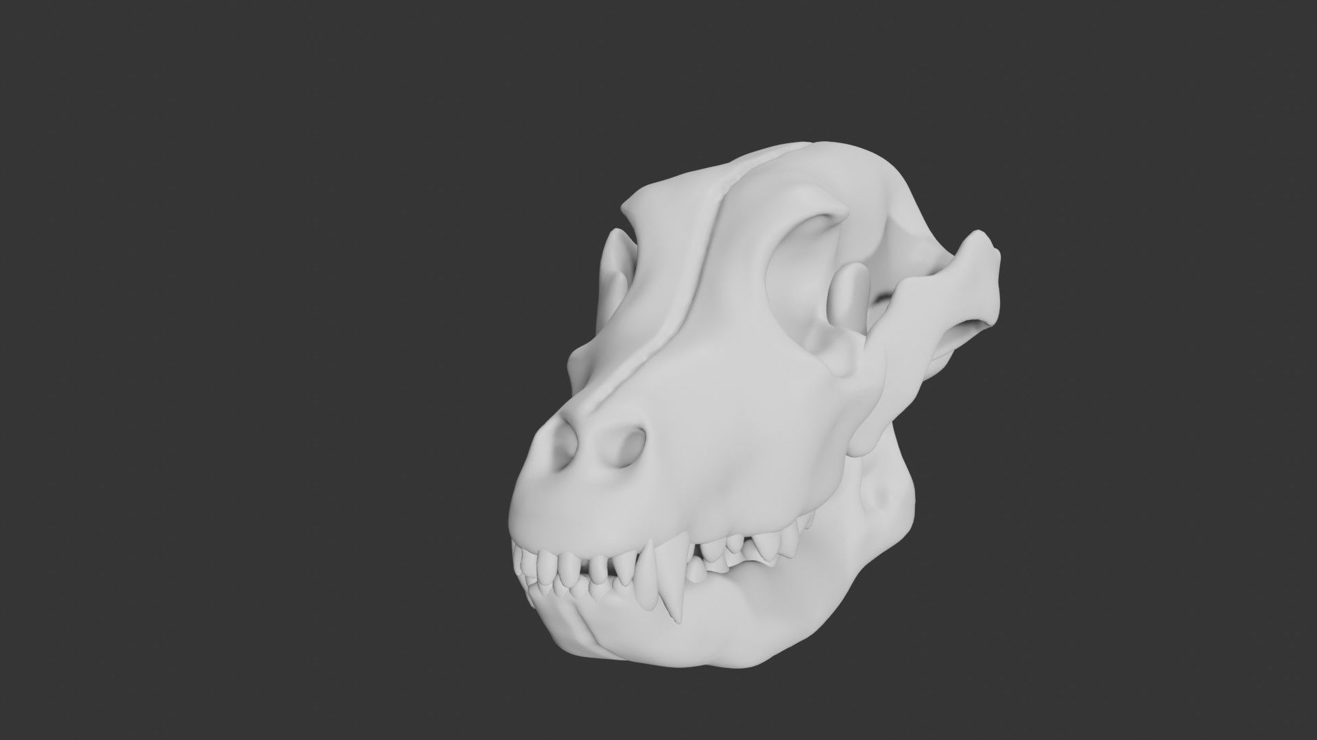 Dog skull Low-poly 3D model_3