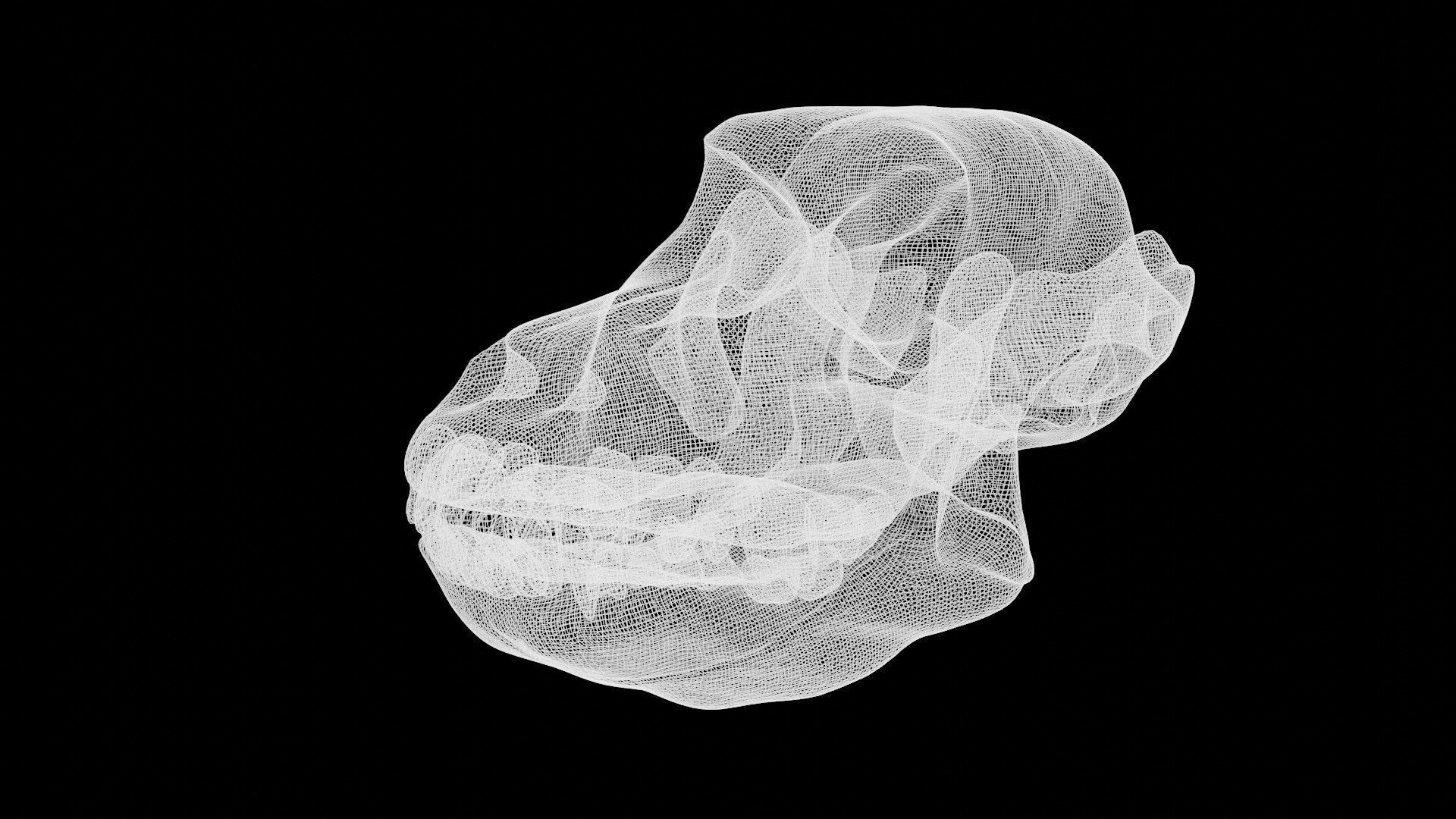 Dog skull Low-poly 3D model_6