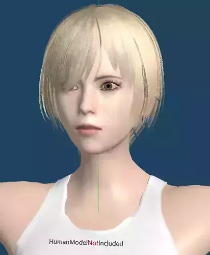 Human Hair Model 002