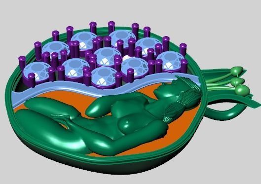 Pomegranate pendant 3D print model_35