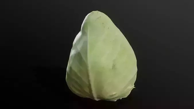 3D Scan Cabbage 01