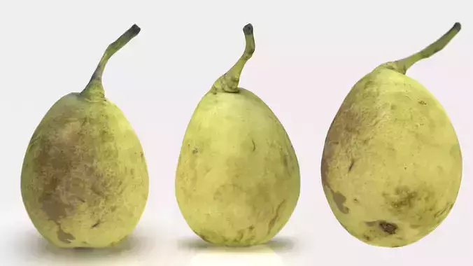 Conference pear
