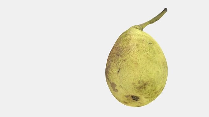 Conference pear Low-poly 3D model 2