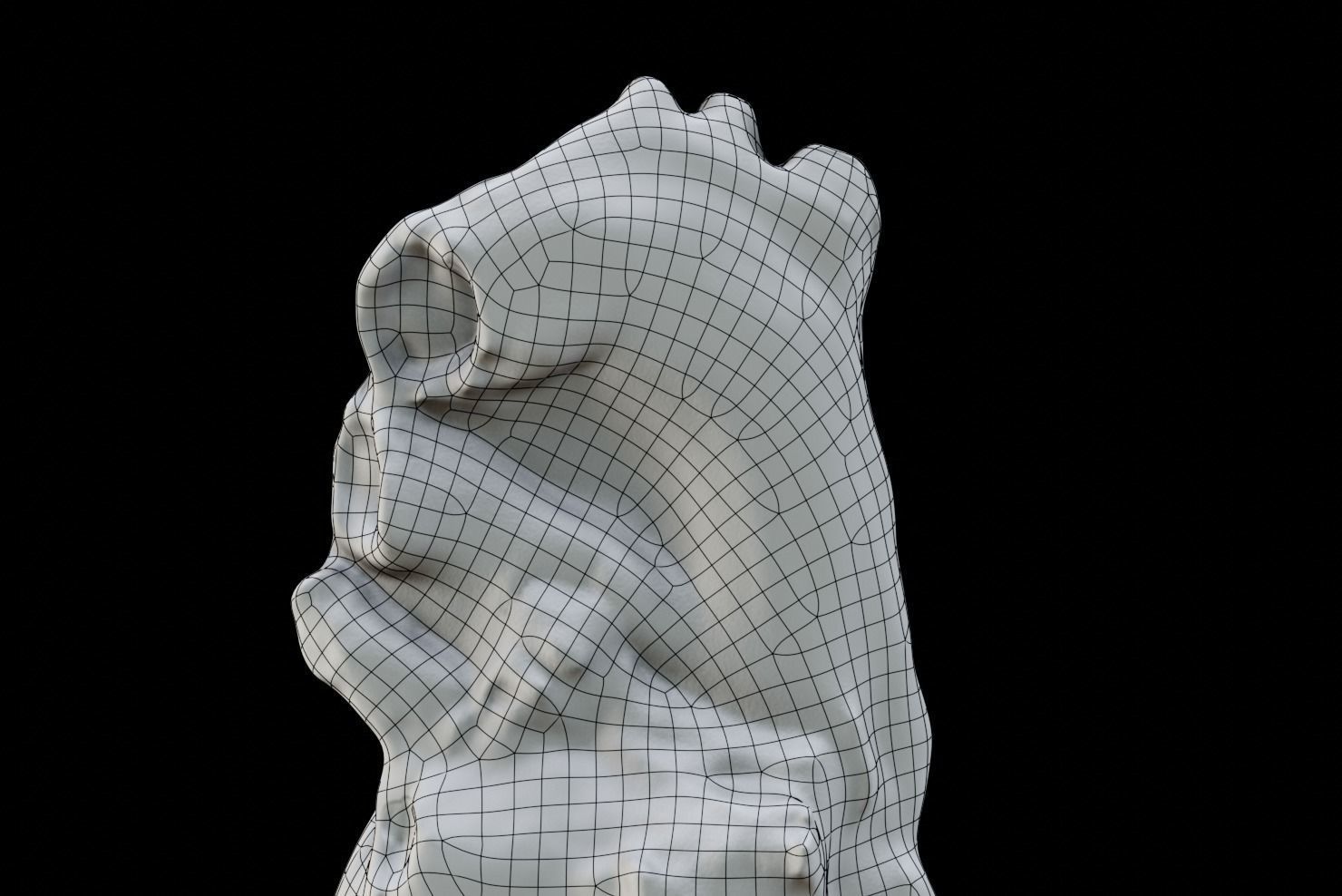 Real Human Heart made from Photogrammetry Low-poly 3D model_12