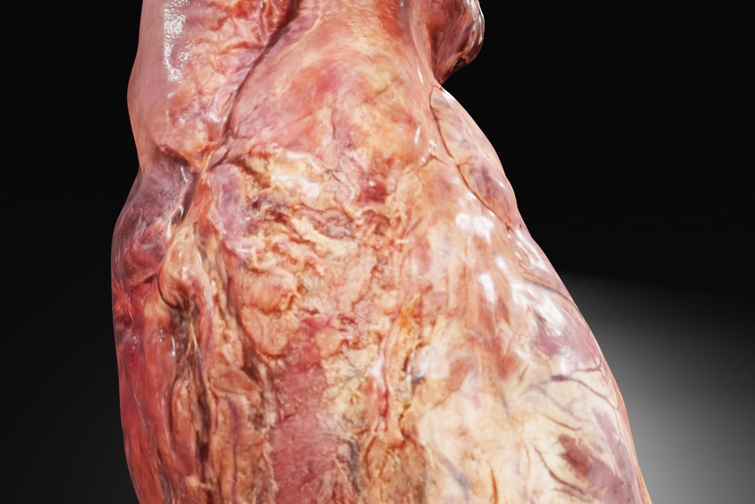 Real Human Heart made from Photogrammetry Low-poly 3D model_17