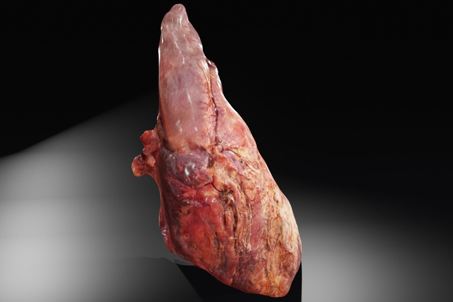 Real Human Heart made from Photogrammetry Low-poly 3D model_18
