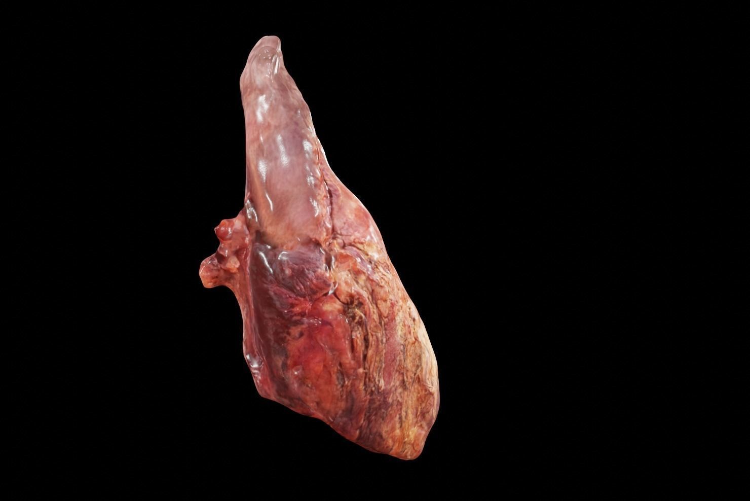 Real Human Heart made from Photogrammetry Low-poly 3D model_6