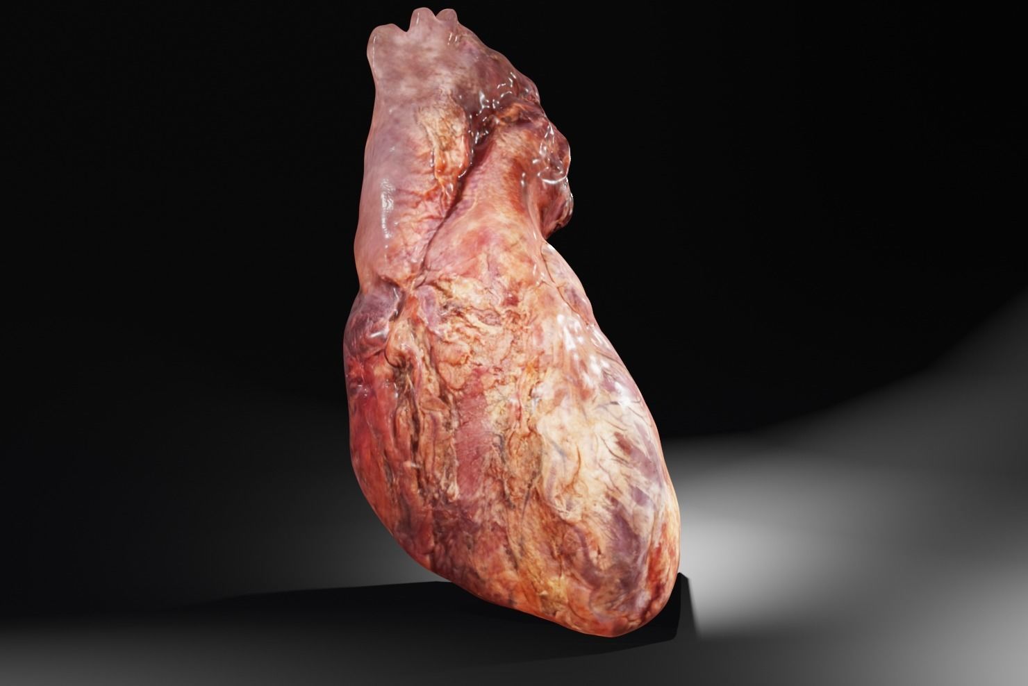 Real Human Heart made from Photogrammetry Low-poly 3D model_14