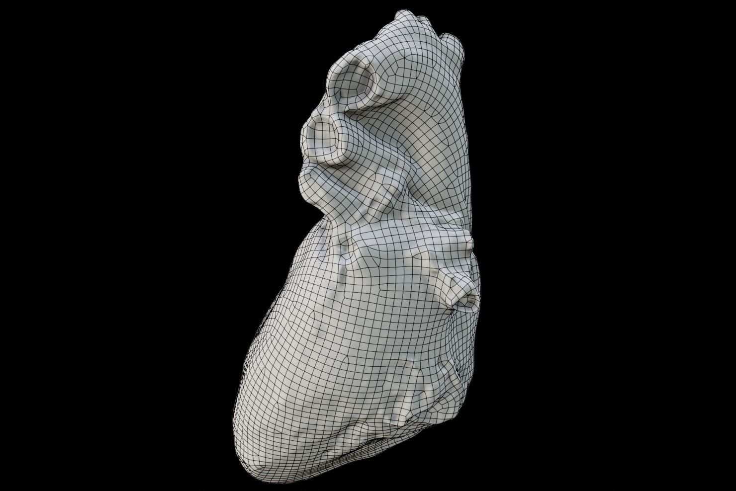 Real Human Heart made from Photogrammetry Low-poly 3D model_13