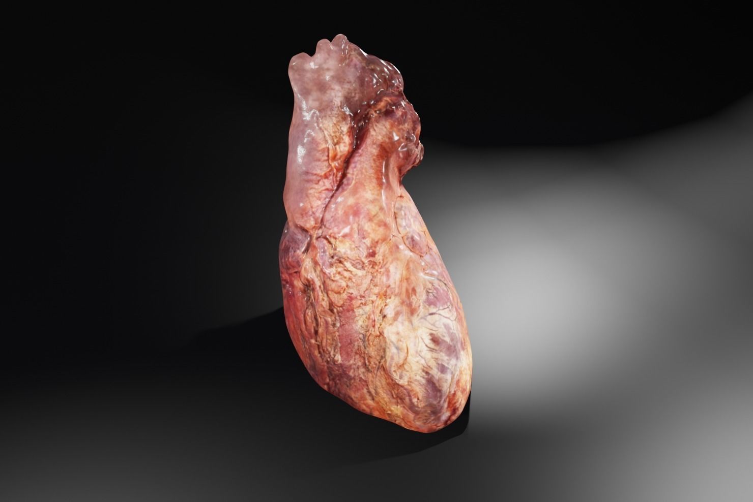 Real Human Heart made from Photogrammetry Low-poly 3D model_3