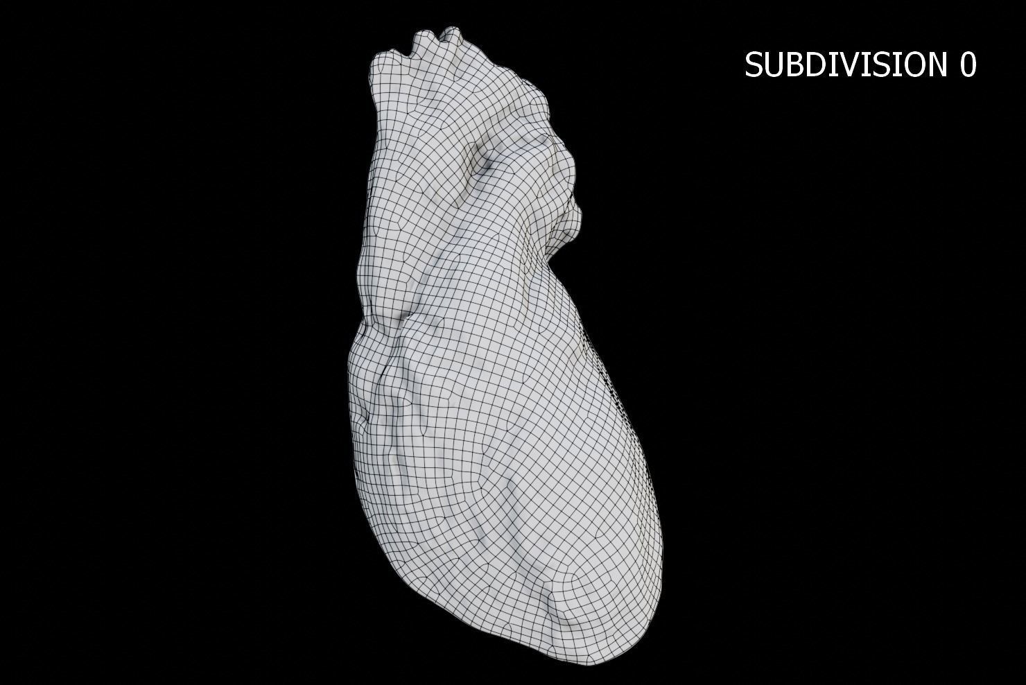 Real Human Heart made from Photogrammetry Low-poly 3D model_20