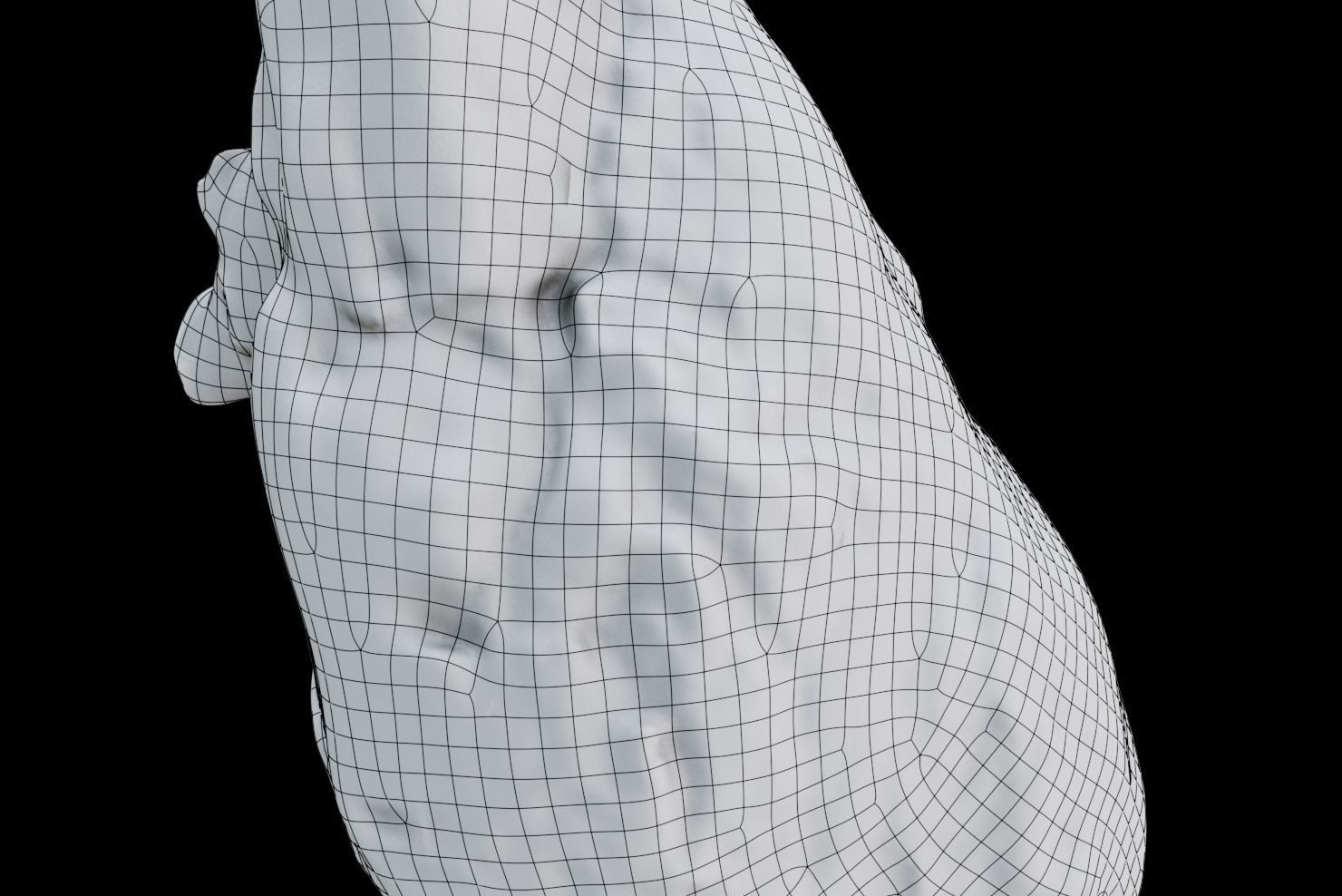 Real Human Heart made from Photogrammetry Low-poly 3D model_11