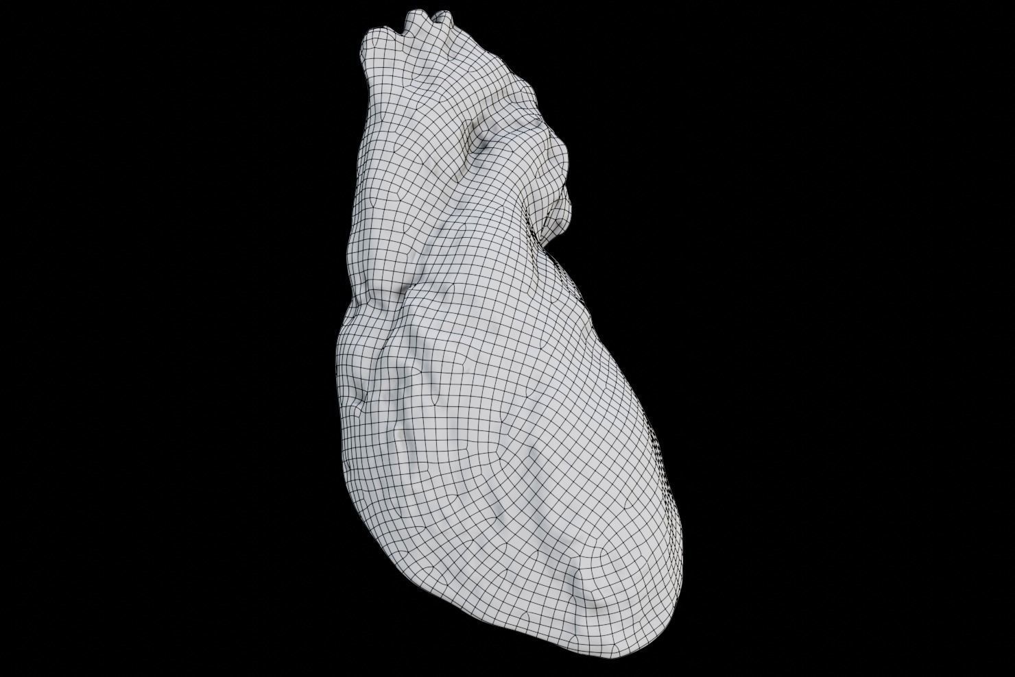 Real Human Heart made from Photogrammetry Low-poly 3D model_2