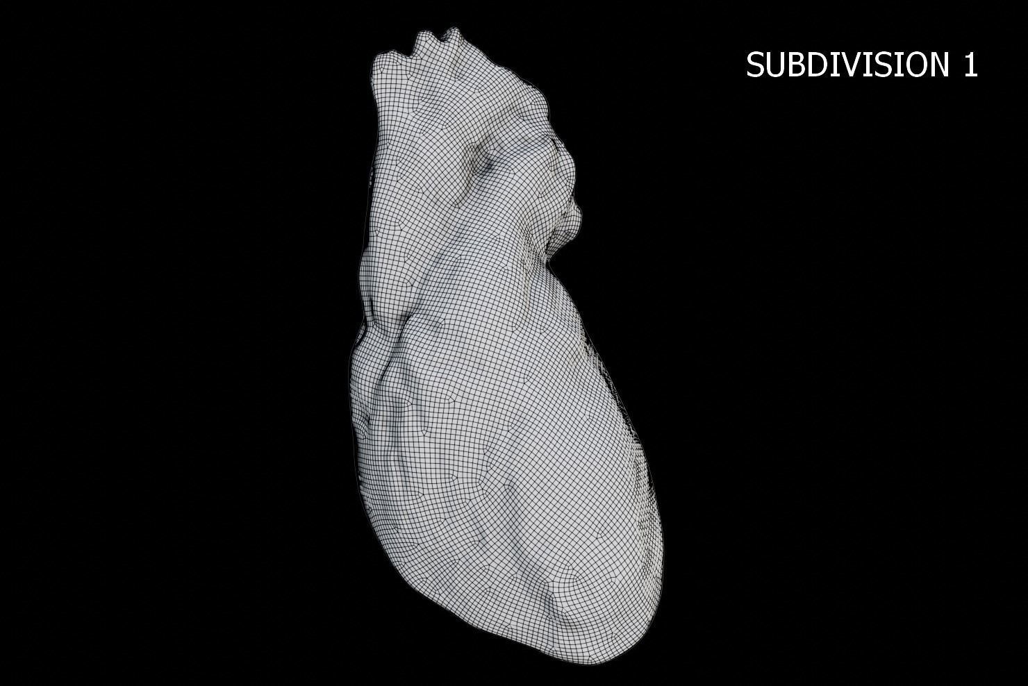 Real Human Heart made from Photogrammetry Low-poly 3D model_21