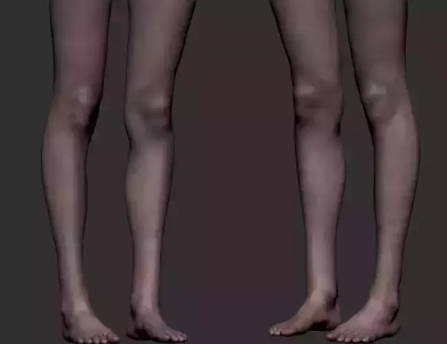 Realistic Female Legs